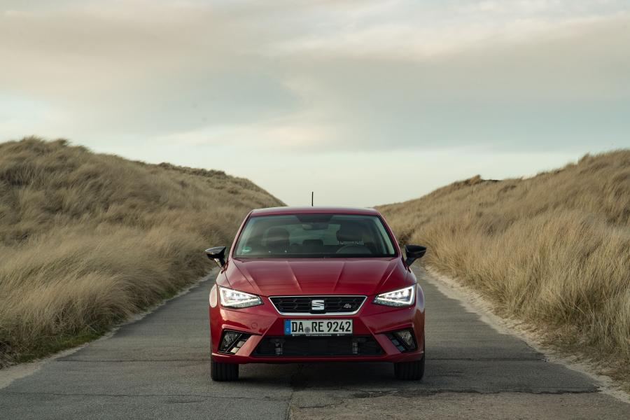  Seat Ibiza FR TGI 2017 года  (WW) (фото 30 из 34)